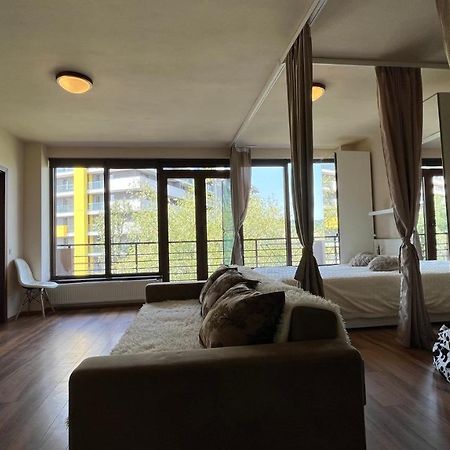 Plopilor Sdtudio Apartamento Cluj-Napoca Exterior foto