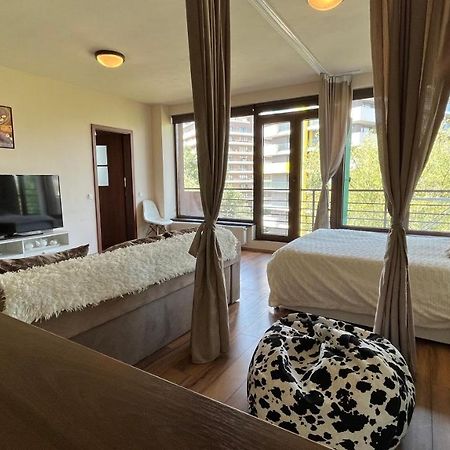 Plopilor Sdtudio Apartamento Cluj-Napoca Exterior foto