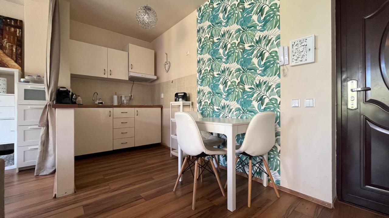 Plopilor Sdtudio Apartamento Cluj-Napoca Exterior foto